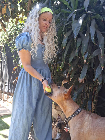 Playing fetch in West Hollywood