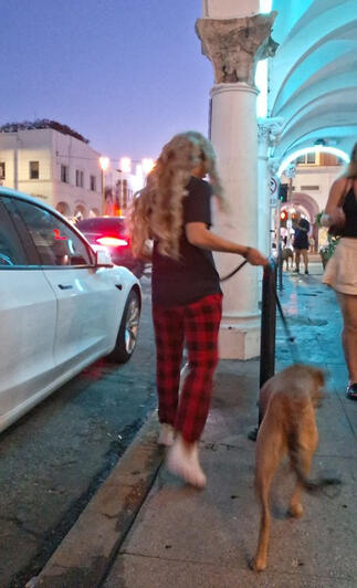 Night Dog Walk on Venice Beach Boardwalk