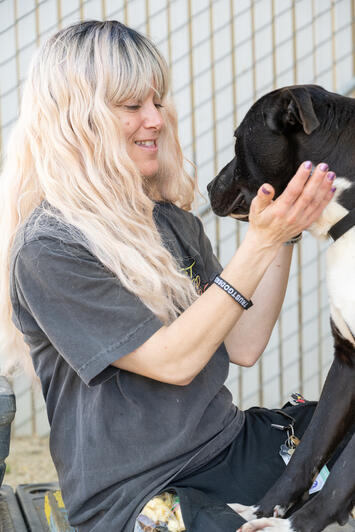 Dog Friend at the Animal Shelter Play Yard